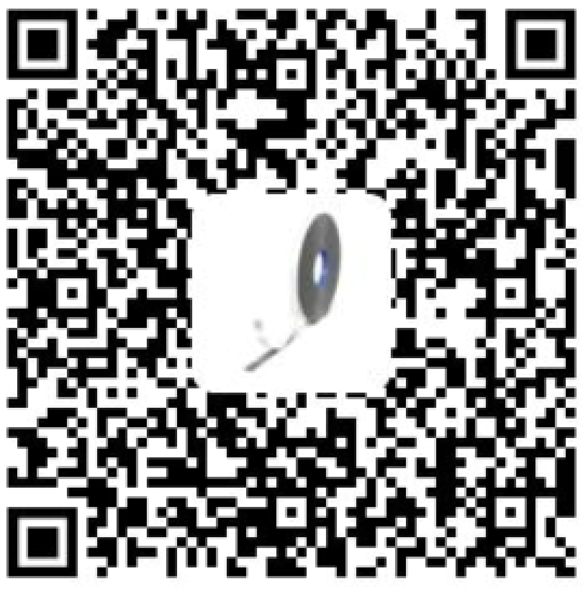 A black-and-white QR code featuring an image of a classic vinyl record in the center. The record showcases a dark outer edge and a lighter inner circle, complemented by a small blue detail near the middle. (This text has been generated by AI)