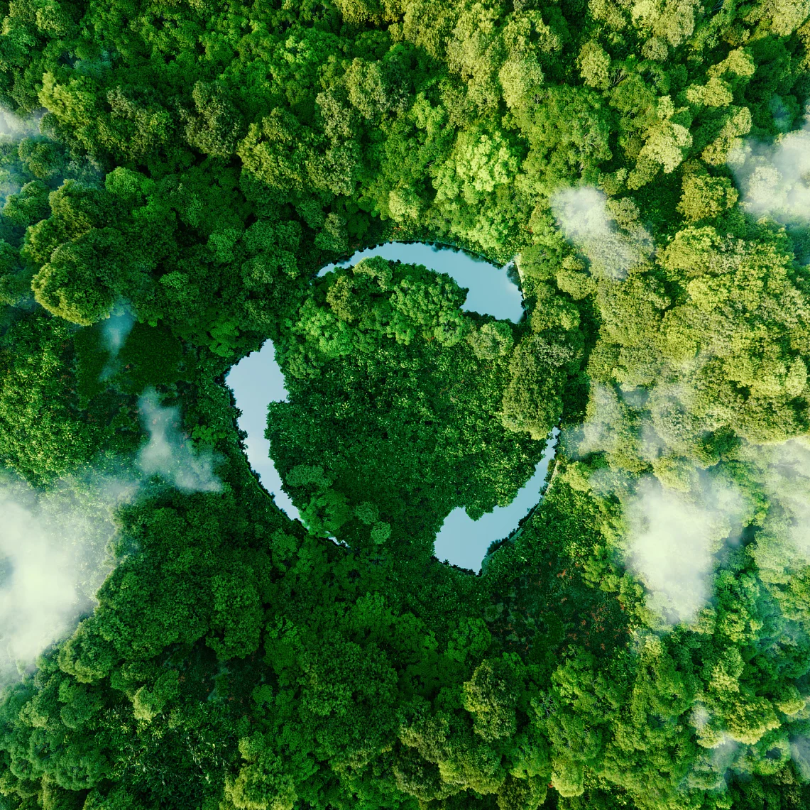 Aerial view of a lush green forest with thick tree canopy, partially obscured by scattered white clouds. A circular clearing in the center reveals patches of blue water, creating a striking contrast against the vivid greenery. (This text has been generated by AI)