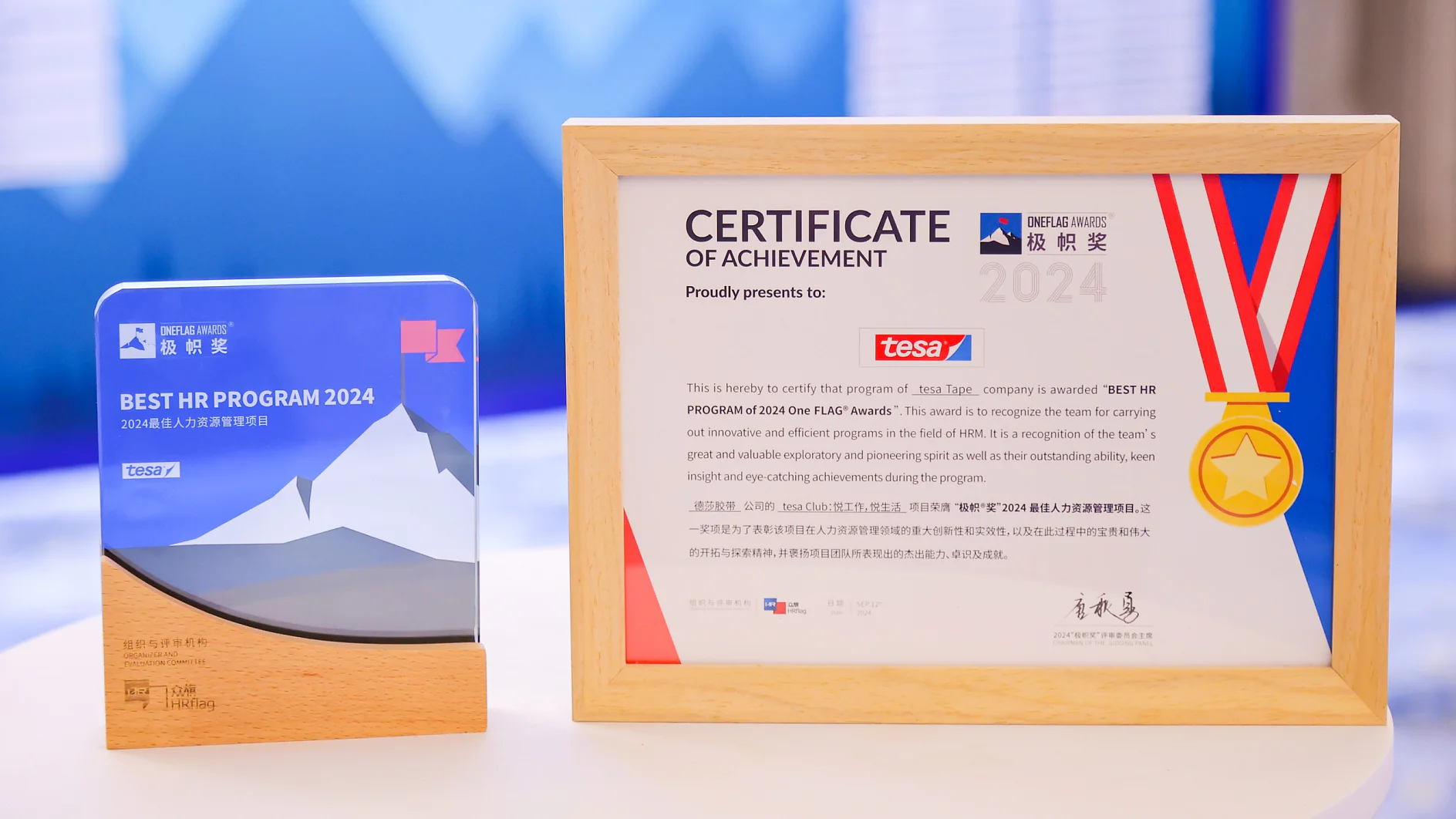 A plaque and a framed certificate are displayed side by side. The plaque reads Best HR Program 2024 with a mountain graphic. The certificate features a gold medal ribbon design and text recognizing achievement for tesa tape. (This text has been generated by AI)